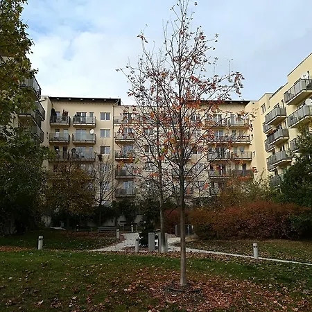 New Studio With Private Parking